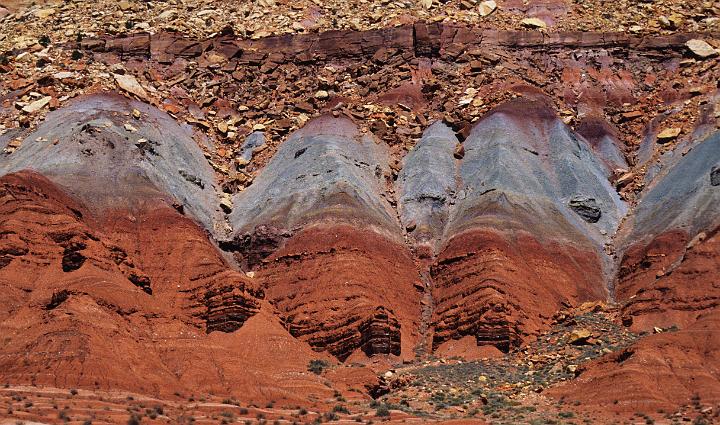 Capital Reef Landscape 01.jpg